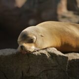 悲惨 仕事中 死ぬほど眠い！やらかしてしまった人生初の現場